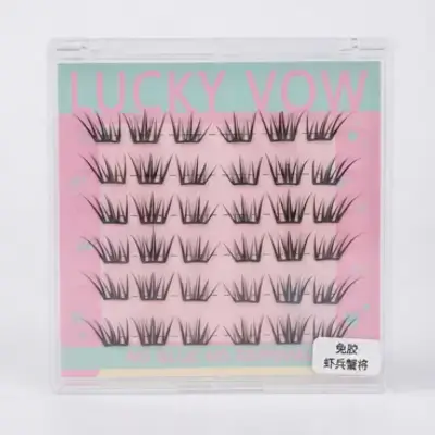 cluster lashes; requires no glue and no remover