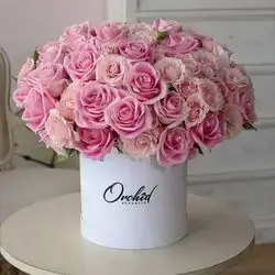 Box Flower