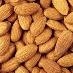 بادەمی خاو و سادە
