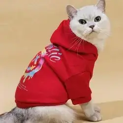 Hoodie M 