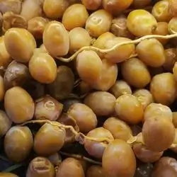 Barhi Dates