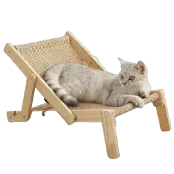 Cat Chair