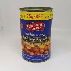 Fava beans with Kurdish mixture, Chtaura Garden