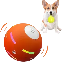 PetDroid Dog Ball Toy