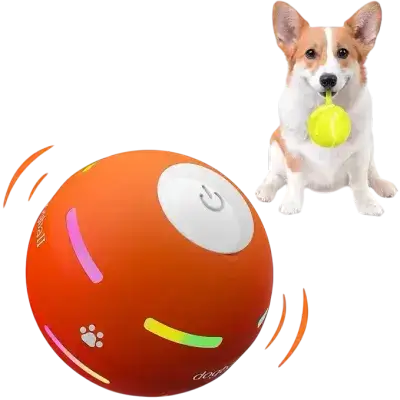 PetDroid Dog Ball Toy
