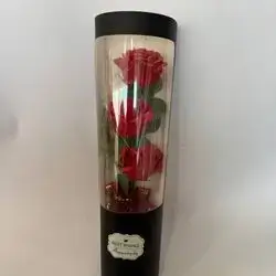 گولی به لید