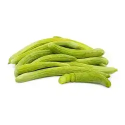 ترعوزي محلي