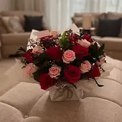 Mixed Rose
