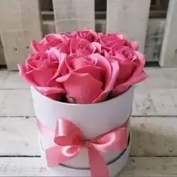 Box 