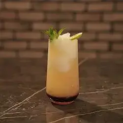 Jamaica Cocktail