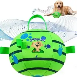 Interactive Dog Toy