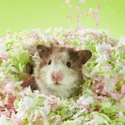 E919 Hamster Paper Cotton