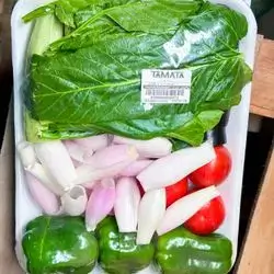 Dolma Package 10 persons
