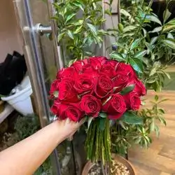 Red Rose