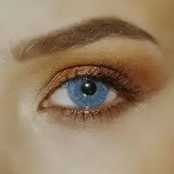 Eye Lenses-High Quality-Rozza