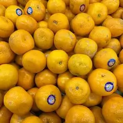 Pakistani Tangerine