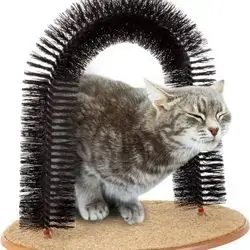 Scratcher & Massager