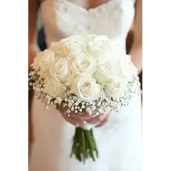 25 Rose