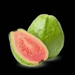 Guava