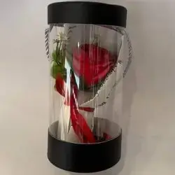 گول ناو بوكس