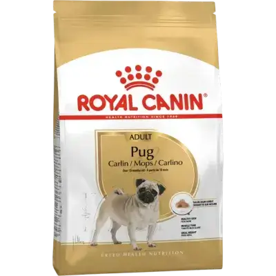 كلب البج للكلاب البالغة 1.5kg