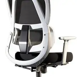 Ergonomic Mesh Office Gaming Chair