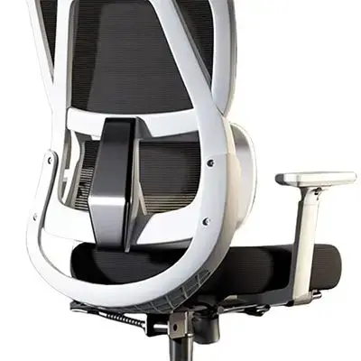 Ergonomic Mesh Office Gaming Chair