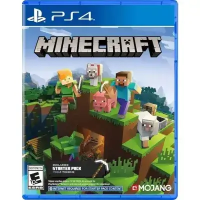 Video Game-PS4 | Minecraft