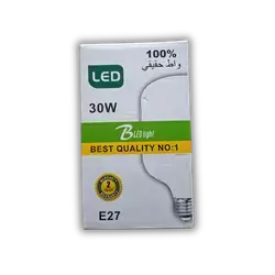 30W Bulb