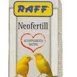 raff Cage
