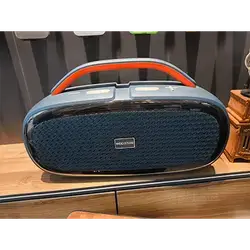 Speaker
