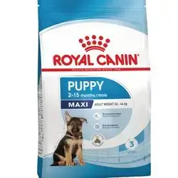 Royal canine maxi puppy