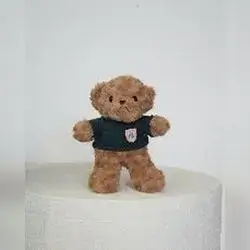 Teddy Bear in Dark Shirt