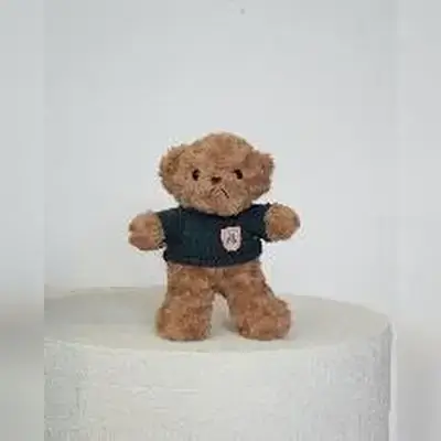 Teddy Bear in Dark Shirt