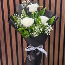 ‎چەپكە گوڵی داودی 
