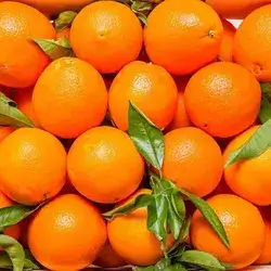 Turkish Orange