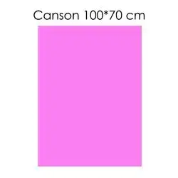 Canson Paper ( Pink) 100 X 70 cm