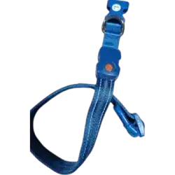 Pet LED Collar