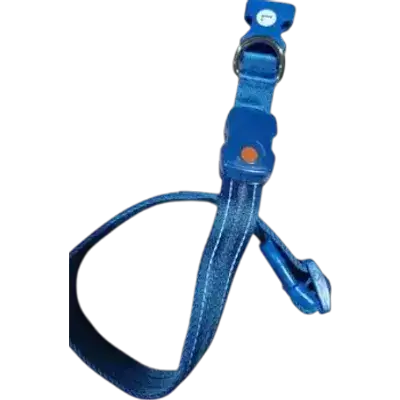 Pet LED Collar