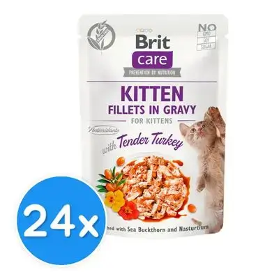 Brit Meat fillets 85gx24
