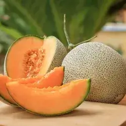 Sweet Iraqi Melon