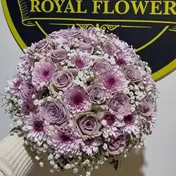 گوڵی بوک و دەرچوون