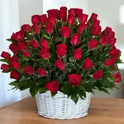 Rosse basket 