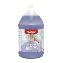 Lavender Cat Shampoo 3.8L