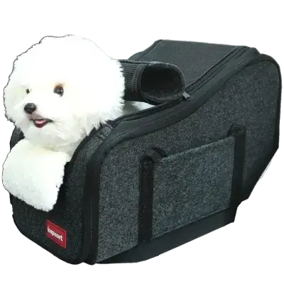 Car seat Cover