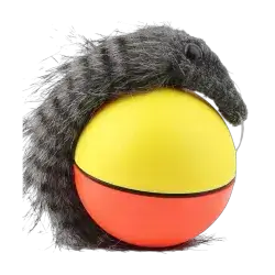 Cat Toy ball