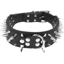 Dog Collar