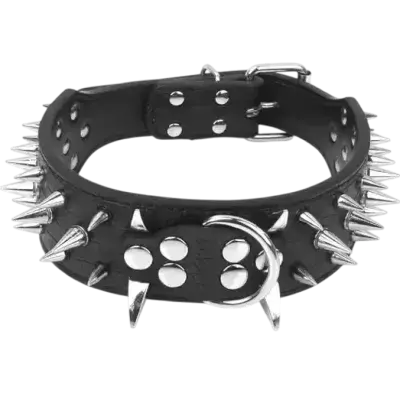 Dog Collar