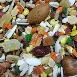 Parrot Fruit & Nuts