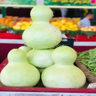 Zucchini